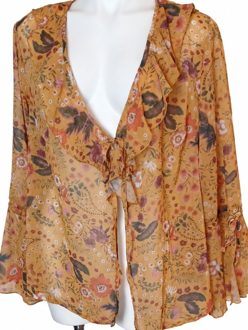 Plus Size 0X Sheer Top. Floral Paisley Ruffle Bell-Sleeve Tie-Front Blouse